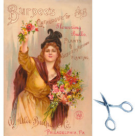 Vintager Saatgutkatalog Blume Burpees Bulbs 1893 Seidenpapier