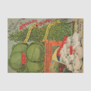Vintager Saatgutkatalog Maule Seidenpapier