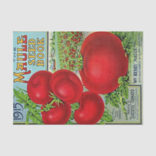 Vintager Saatgutkatalog Maule's 1915, Tomaten Seidenpapier