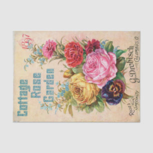 Vintager Saatkatalog 1897 Hütte Rose Garten Seidenpapier