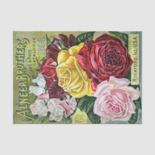 Vintager Saatkatalog Alneer Brothers, Rose, 1898 Seidenpapier
