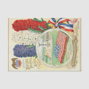 Vintager Saatkatalog, Alte Herrlichkeit, Hyazinthe Seidenpapier