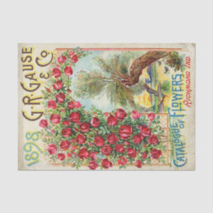 Vintager Saatkatalog, Grause 1898, Rote Rosen Seidenpapier