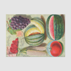 Vintager Saatkatalog Iowa Obst und Gemüse Seidenpapier