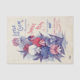 Vintager Saatkatalog James Vick's Platterbsen Seidenpapier