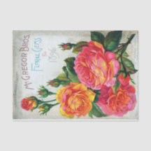 Vintager Saatkatalog McGregor Floral Gems, 1896
