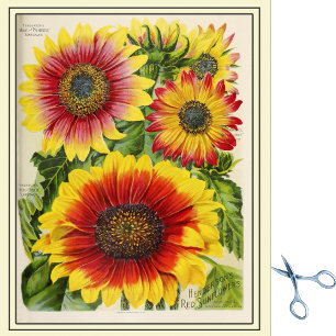 Vintager Saatkatalog Rot- und Goldblumen Seidenpapier