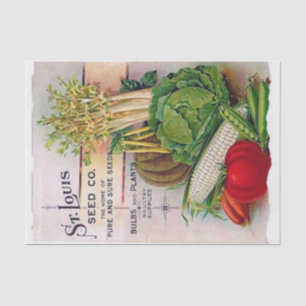 Vintager Saatkatalog St. Louis Seed Company Seidenpapier