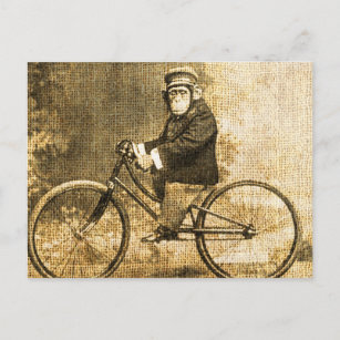 Vintager Schimpanse auf einem Fahrrad Postkarte