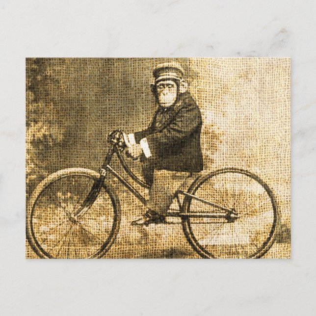 Vintager Schimpanse auf einem Fahrrad Postkarte (Vorderseite)