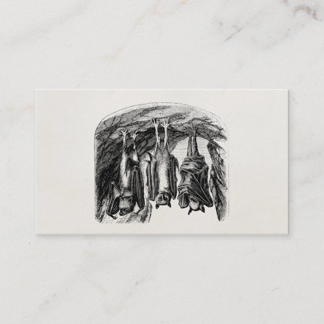 Vintager Schläger 1800s Fliegenfox-Schläger Visitenkarte (Vorderseite)