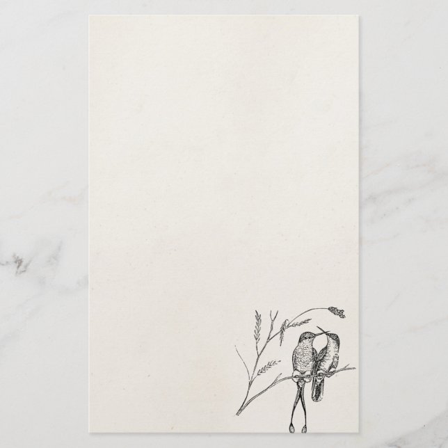 Vintager Schläger-Schwanz-Kolibri-personalisierter Briefpapier (Vorderseite)