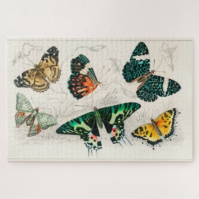 Vintager Schmetterling Alte Illustration Kunst Puzzle (Horizontal)
