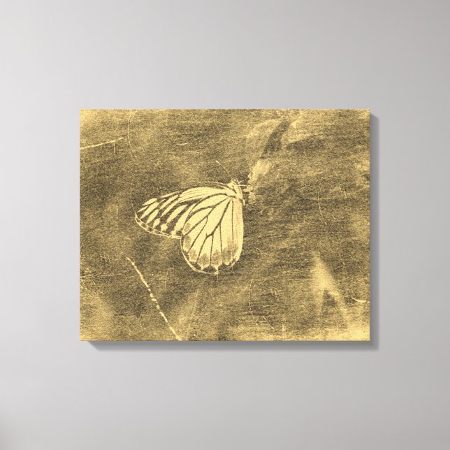 Vintager Schmetterling auf Blume #2 Leinwanddruck (Vorderseite)
