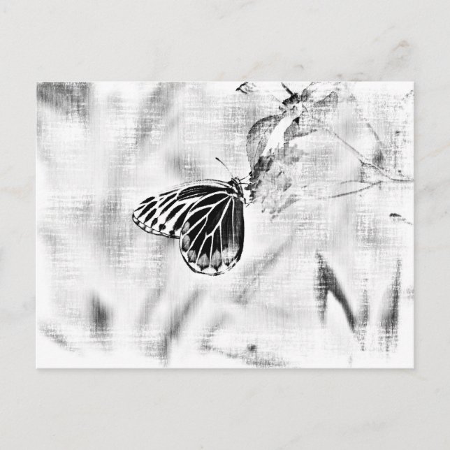 Vintager Schmetterling auf Blume - Schwarz und Wei Postkarte (Vorderseite)