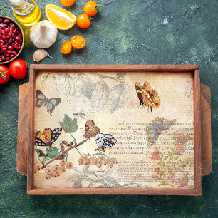 Vintager Schmetterling Botanischer Ephemera Dekoup Seidenpapier