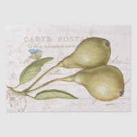 Vintager Schmetterling Carte Postale Entdeckungsre