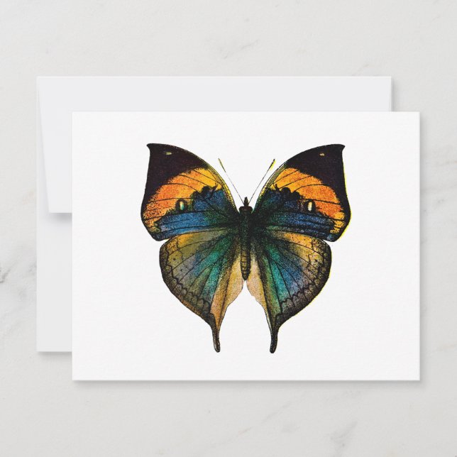 Vintager Schmetterling - Der antike Schmetterling  (Vorderseite)