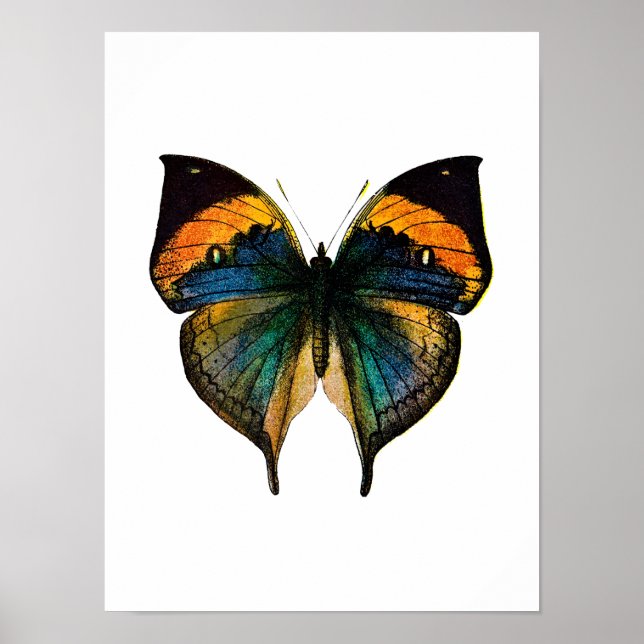Vintager Schmetterling - Der antike Schmetterling  Poster (Vorne)