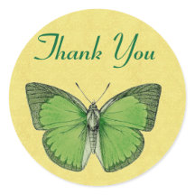 Vintager Schmetterling grün und gelb Danke V29