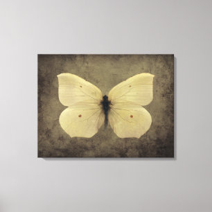 Vintager Schmetterling Leinwanddruck