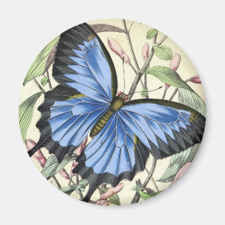 Vintager Schmetterling Magnet