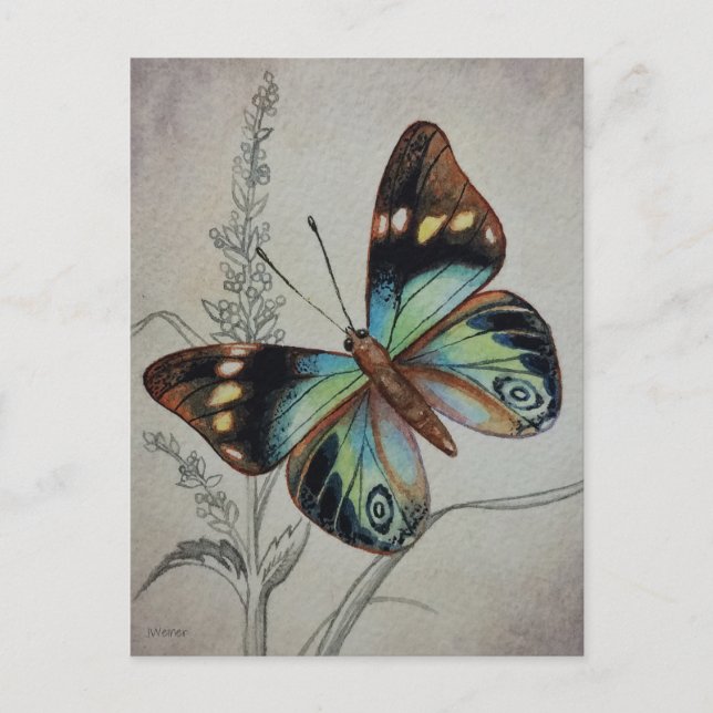 Vintager Schmetterling Nr. 1 Aquarellkunst Postkarte (Vorderseite)