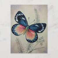 Vintager Schmetterling Nr. 2 Wasserfarben Kunst