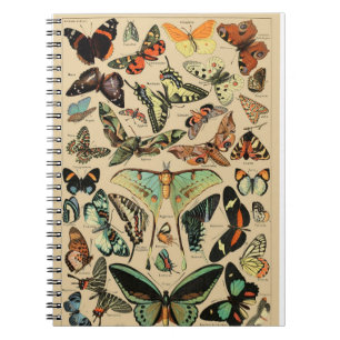 Vintager Schmetterling/PapillenNotebook Notizblock