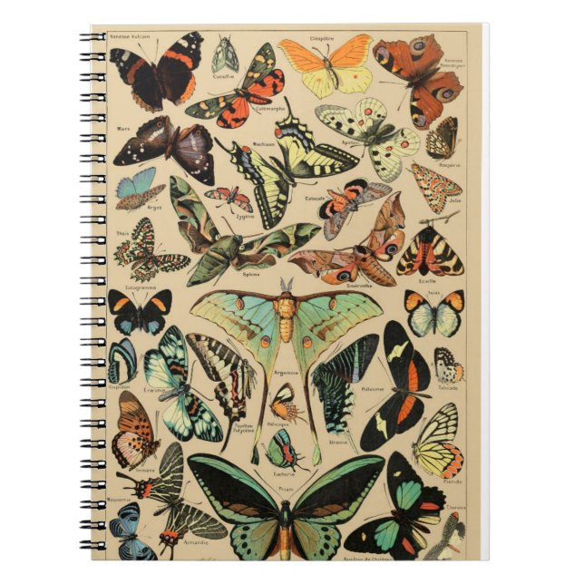 Vintager Schmetterling/PapillenNotebook Notizblock (Vorderseite)