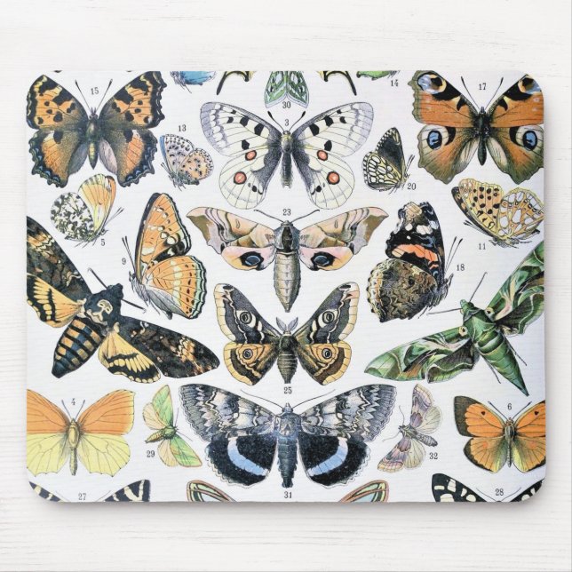 Vintager Schmetterling Papillon Alte Illustration  Mousepad (Vorne)