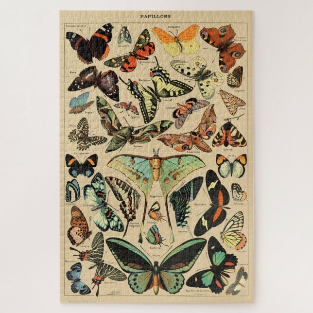 Vintager Schmetterling Papillon Alte Illustration  Puzzle (Vertikal)