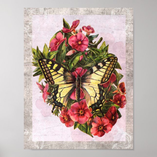 Vintager Schmetterling Poster (Vorne)