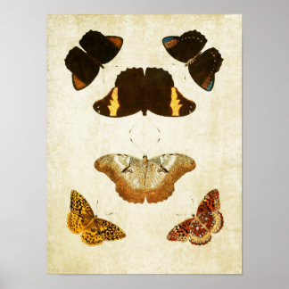 Vintager Schmetterling Print 057 Poster