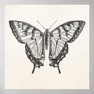 Vintager Schmetterlings-personalisierte Poster