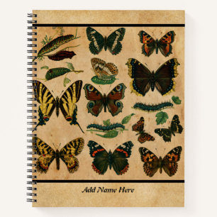 Vintager Schmetterlingsname Notizbuch
