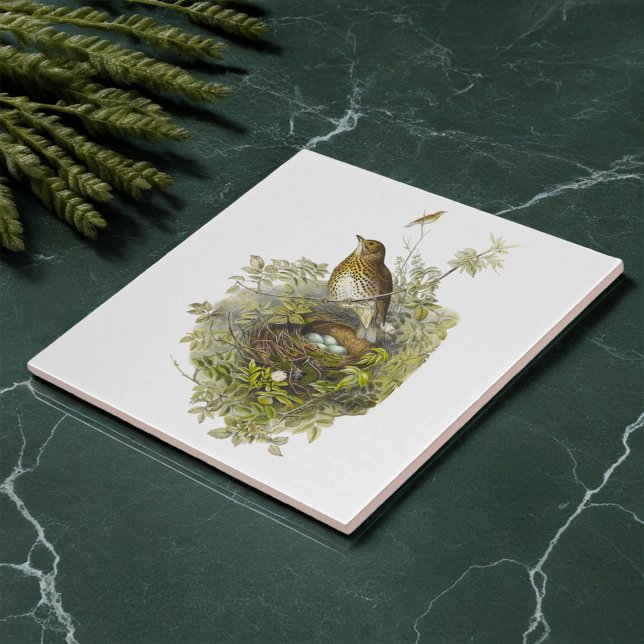 Vintager Schutzwurf ihre Eier Fliese (Von Creator hochgeladen)