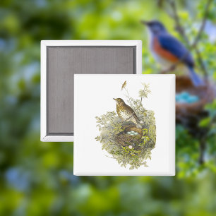 Vintager Schutzwurf ihre Eier Magnet