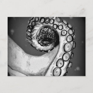 Vintager Schwarz-Weiß-Oktopus-Tentakel Postkarte