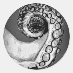 Vintager Schwarz-Weiß-Oktopus-Tentakel Runder Aufkleber
