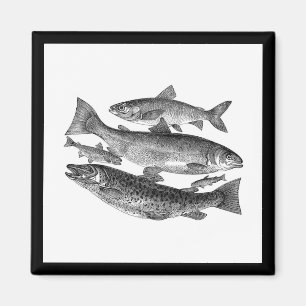 Vintager schwarzer Fisch-Druck Magnet