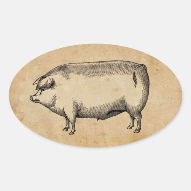 Vintager Schweinekleber Ovaler Aufkleber (Vorderseite)
