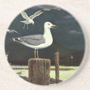 Vintager Seagull-Halssteg, Meervögel Getränkeuntersetzer