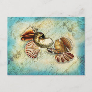 Vintager Seashell Ocean Blue Postkarte