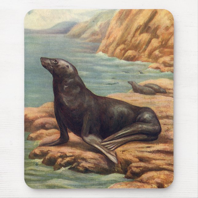 Vintager Seelöwe an der Küste, Meeressäugetiere Mousepad (Vorne)
