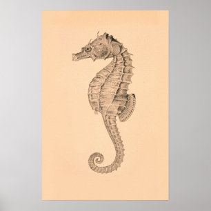 Vintager SeepferdeDiptych II Poster