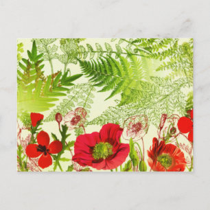 Vintager Sonnenschein blühende Poppies floral Postkarte