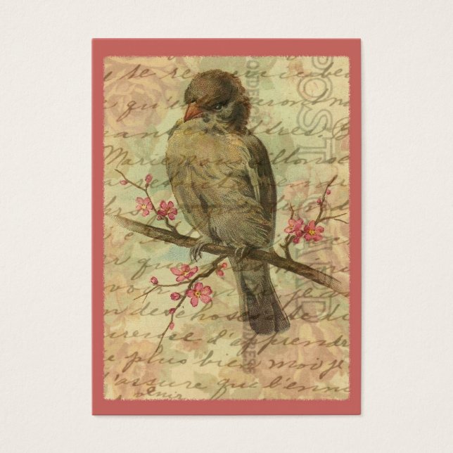 Vintager Sparrow (Vorderseite)
