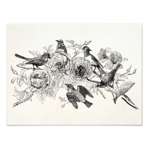 Vintager Sparrow Birds Personalisierter Sparrows B Fotodruck