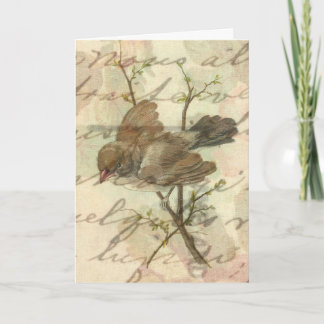 Vintager Sparrow mit handgeschriebenem Hintergrund Karte